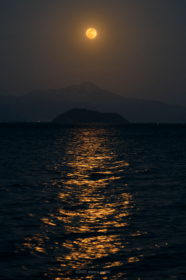 辻田新也写真展「UNKNOWN LAKE 琵琶湖 at こはぜ珈琲」