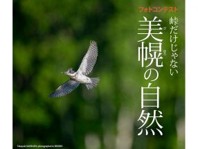 フォトコンテスト「峠だけじゃない美幌の自然」