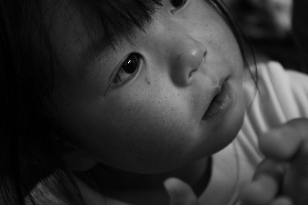 写真甲子園2025レポート