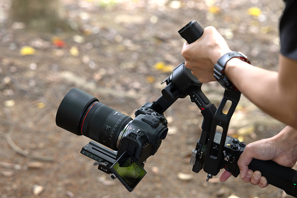 RF85mm F1.4 L VCM