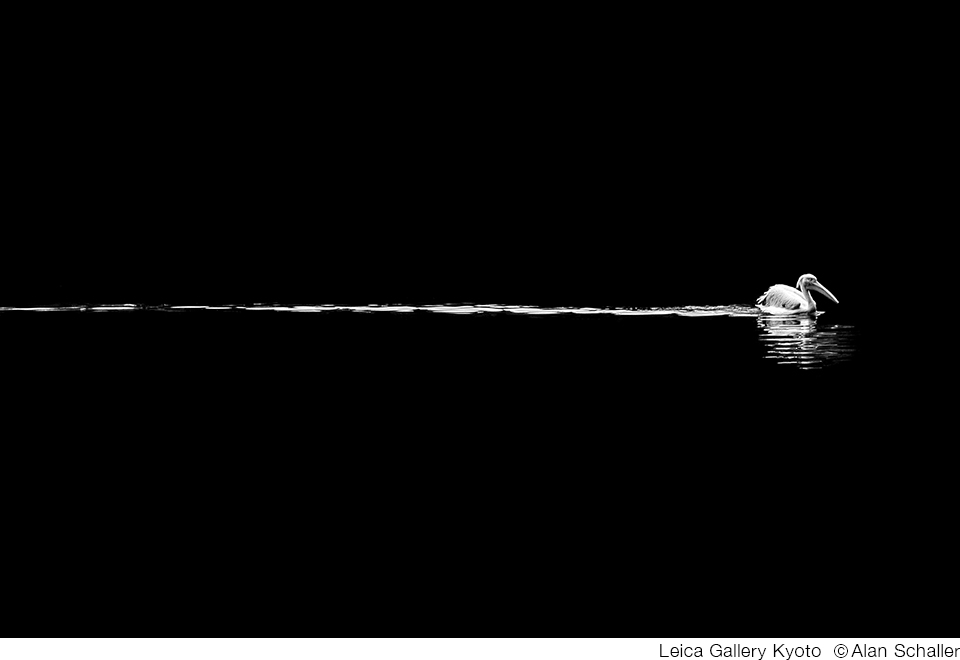 Alan Schaller 写真展「TIME TO REFLECT」