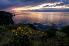 寺沢孝毅の写真講座