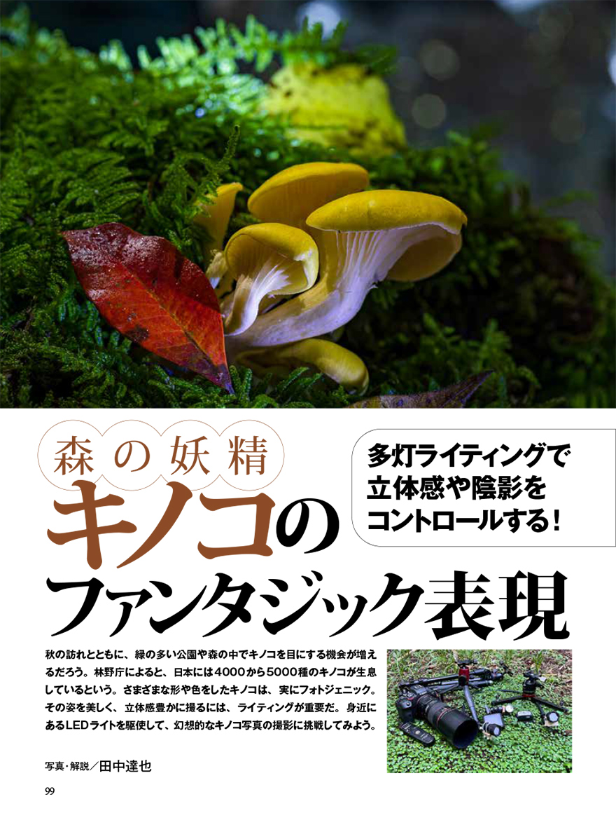 CAPA 2025年11月号