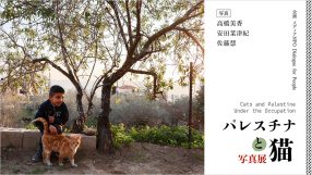高橋美香、安田菜津紀、佐藤慧写真展「パレスチナと猫」