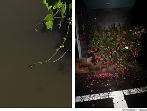 立木義浩写真展「禍福は糾える縄の如し」