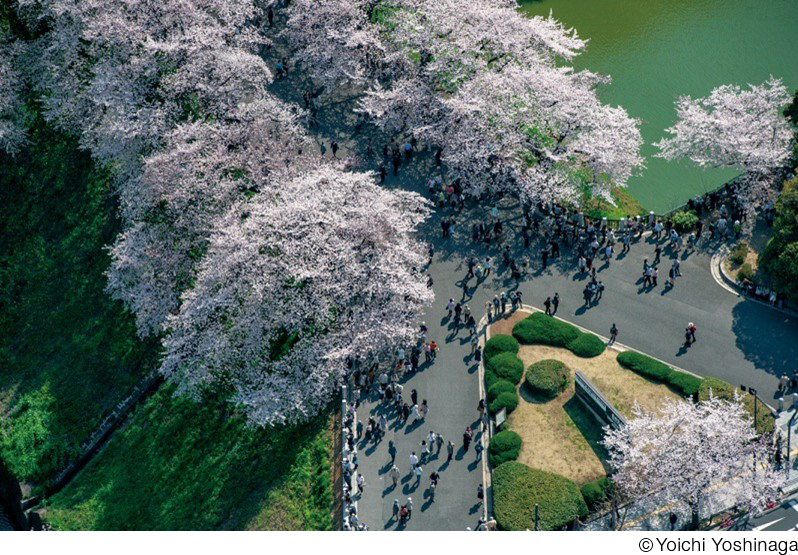 吉永陽一写真展「東京ぐるぐる」