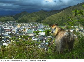 第18回 秋山庄太郎記念 米沢市写真文化賞 入賞作品展