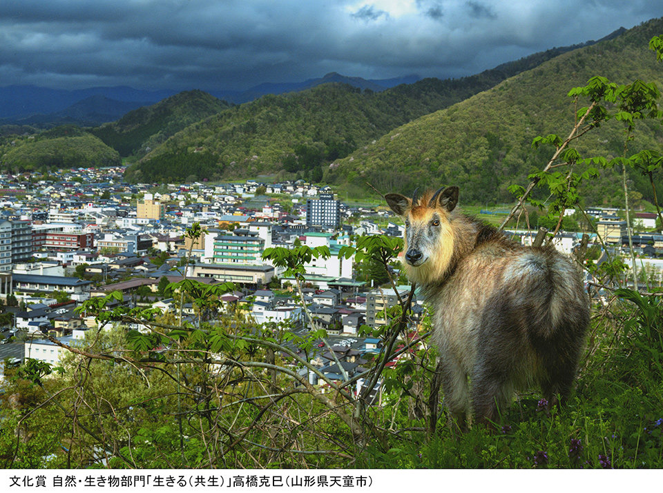 第18回 秋山庄太郎記念 米沢市写真文化賞 入賞作品展