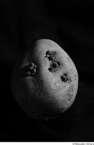 相原正明写真展「Katachi 〜in ＆ Out〜」