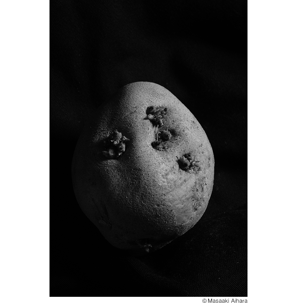 相原正明写真展「Katachi 〜in ＆ Out〜」