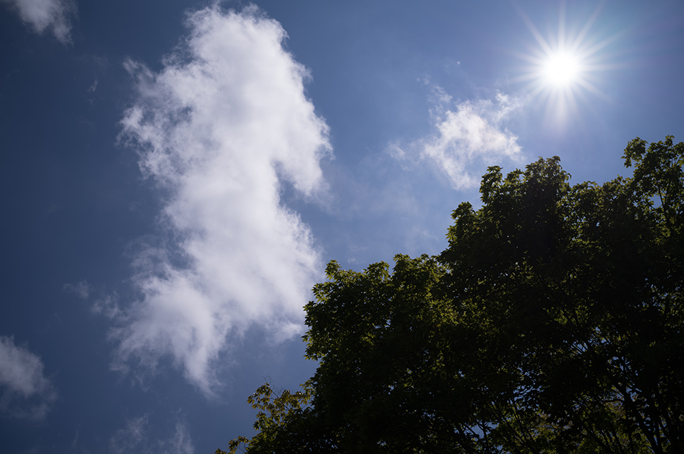 ライカM EV1 実写インプレッション