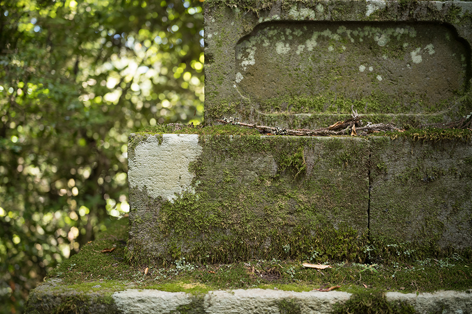 ライカM EV1 実写インプレッション