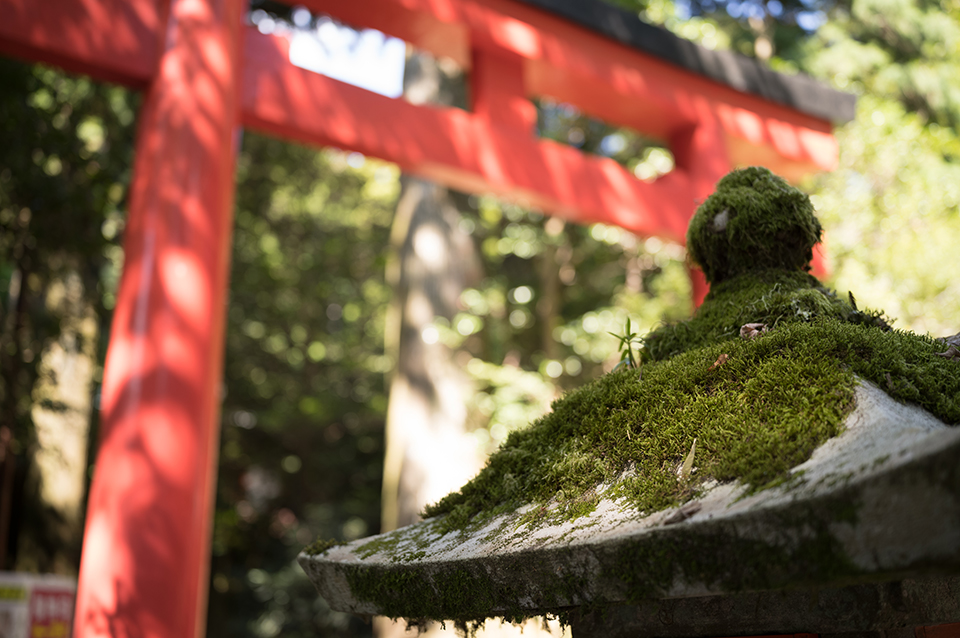 ライカM EV1 実写インプレッション