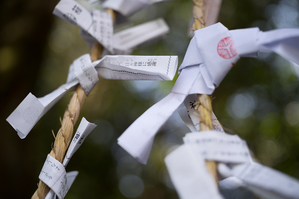 ライカM EV1 実写インプレッション