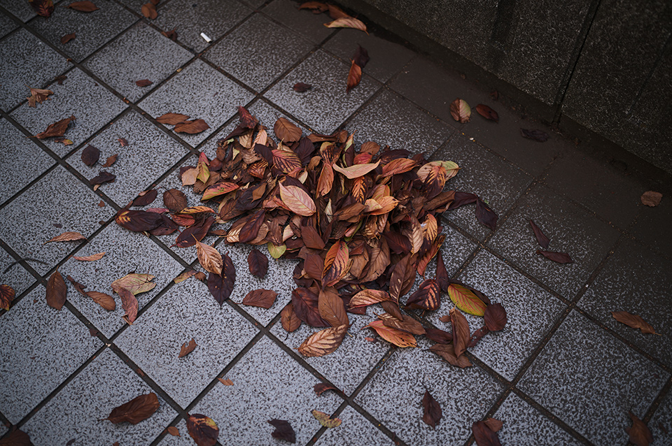 ライカM EV1 実写インプレッション