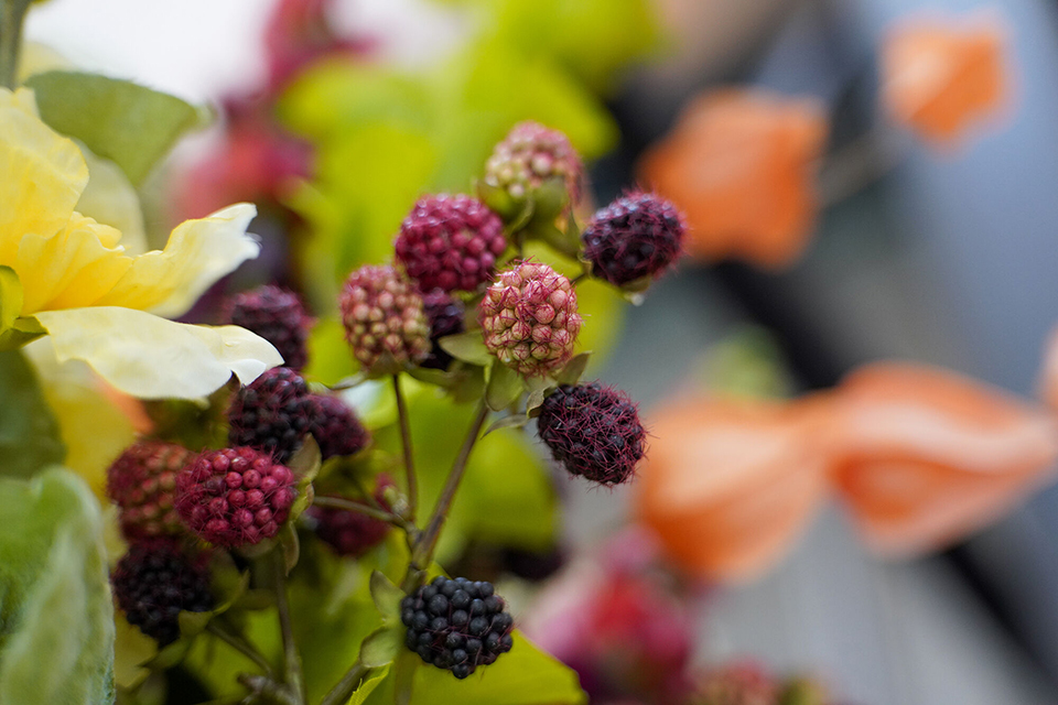 SAMYANG AF 24-60mm F2.8 FE