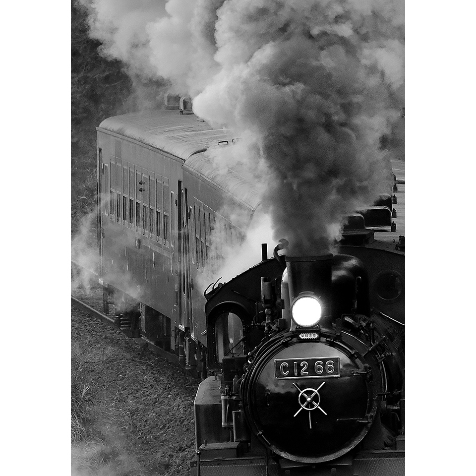 入選「力行」佐藤隆之