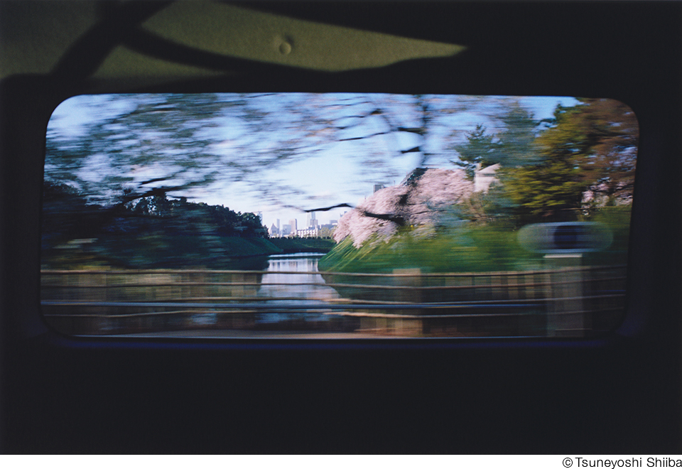 椎葉恒𠮷作品展「QUARTER LIGHT LANDSCAPES」