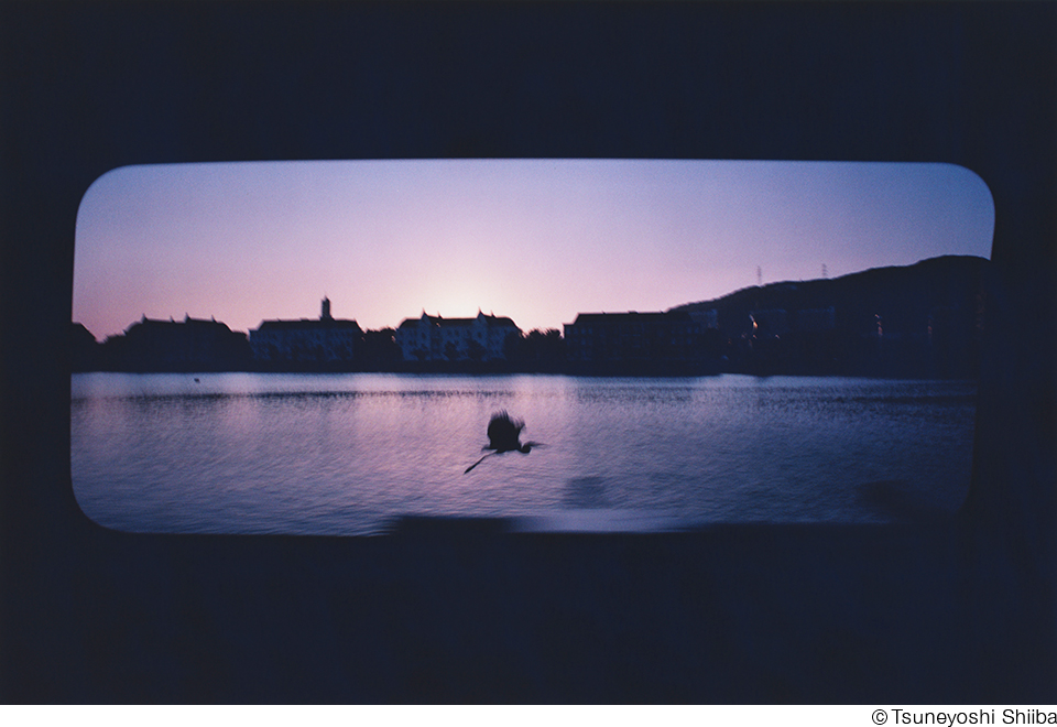 椎葉恒𠮷作品展「QUARTER LIGHT LANDSCAPES」