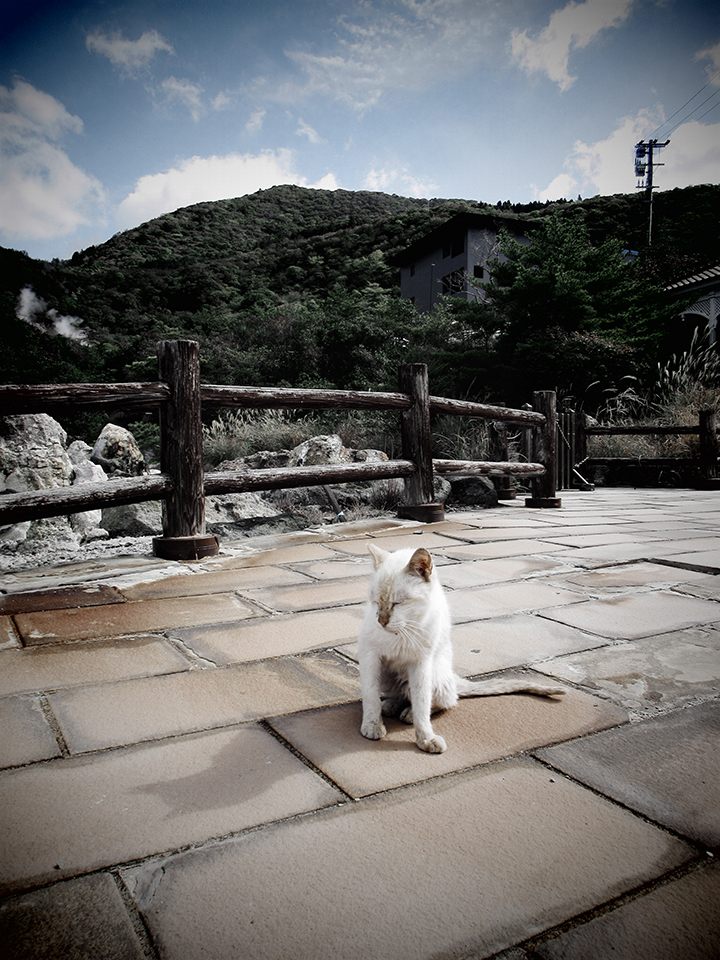 IXY 650 m 実写レポート