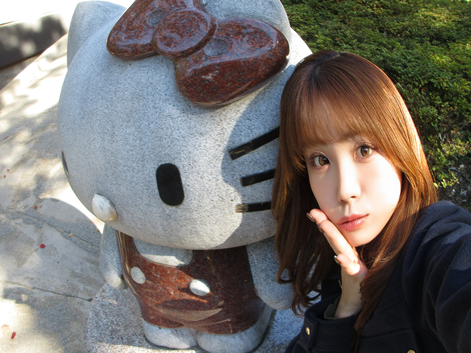 IXY 650 m 実写レポート