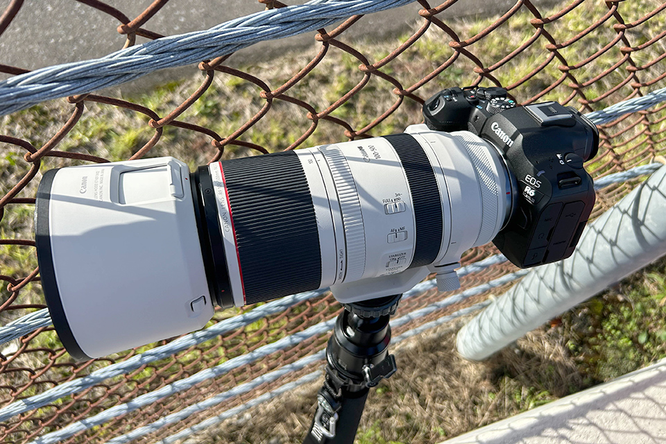 キヤノン EOS R6 Mark III 実写レビュー