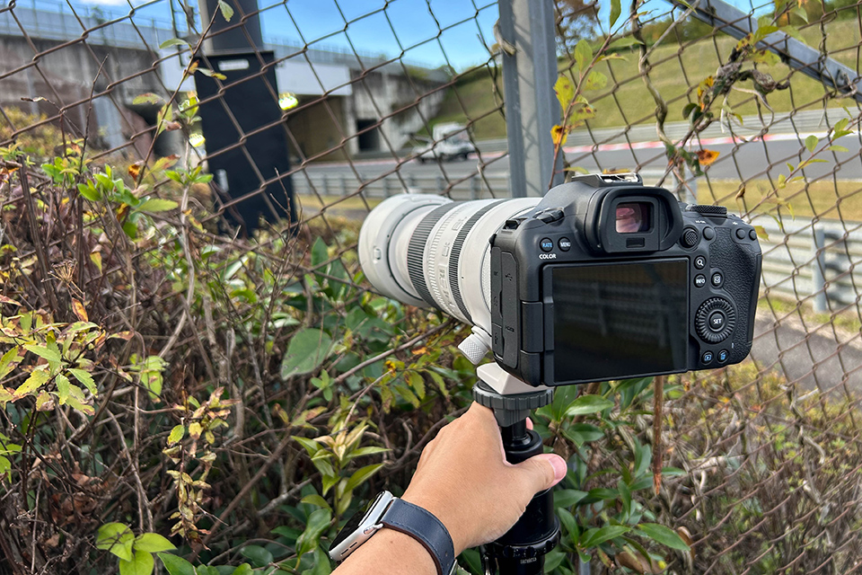 キヤノン EOS R6 Mark III 実写レビュー