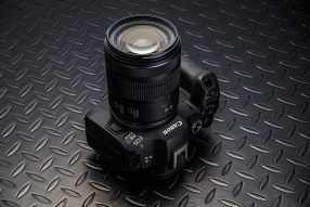 EOS R6 Mark III 実写チェック後編