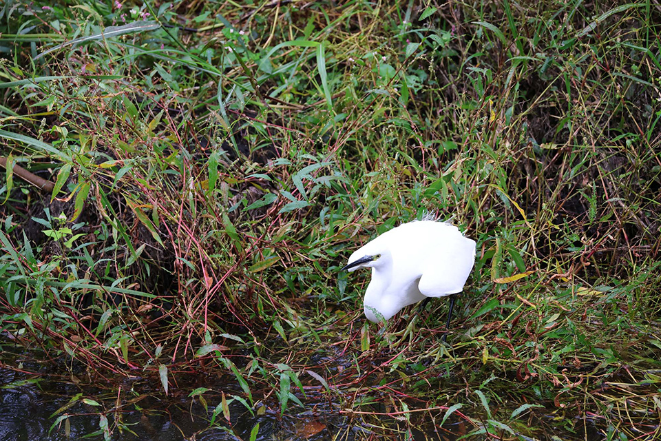 EOS R6 Mark III 実写チェック後編