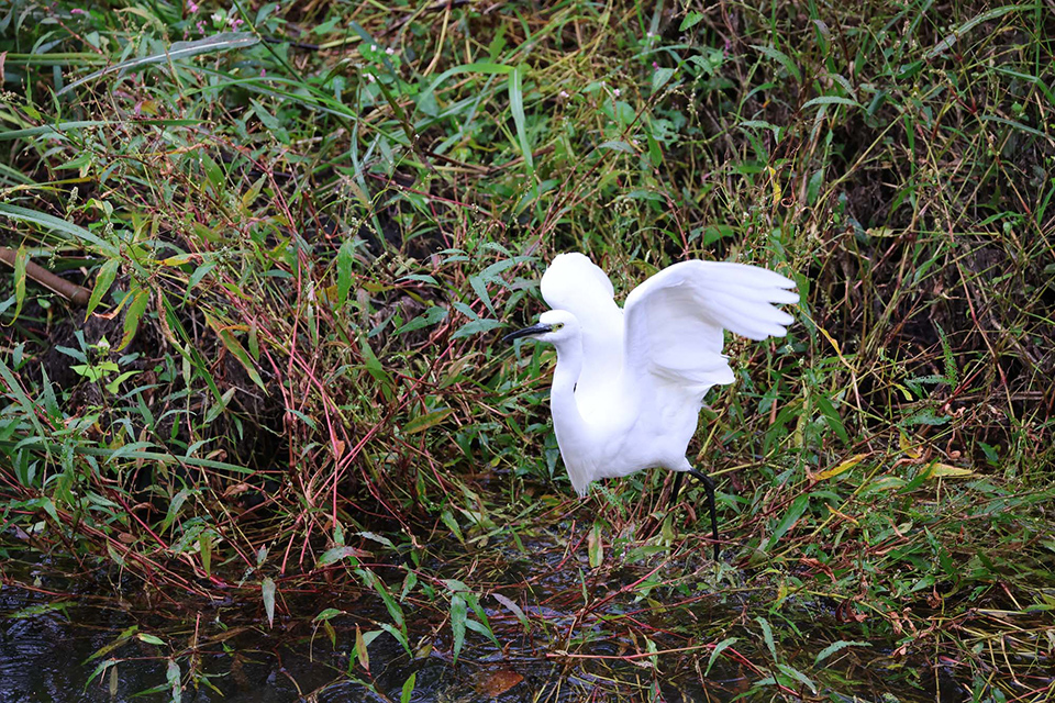 EOS R6 Mark III 実写チェック後編