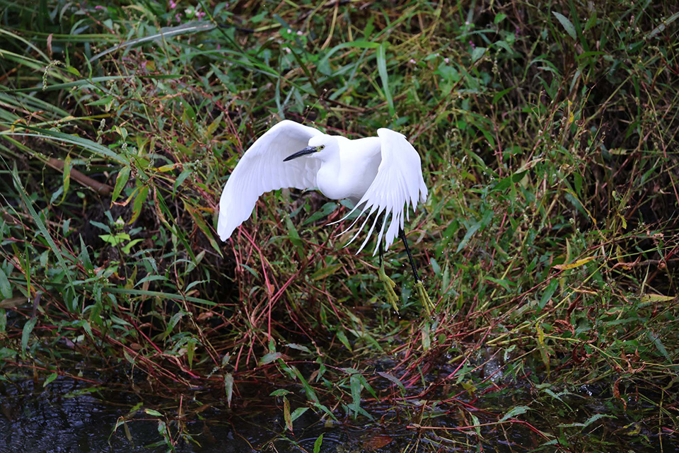 EOS R6 Mark III 実写チェック後編