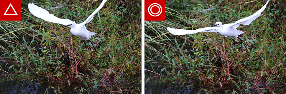 EOS R6 Mark III 実写チェック後編