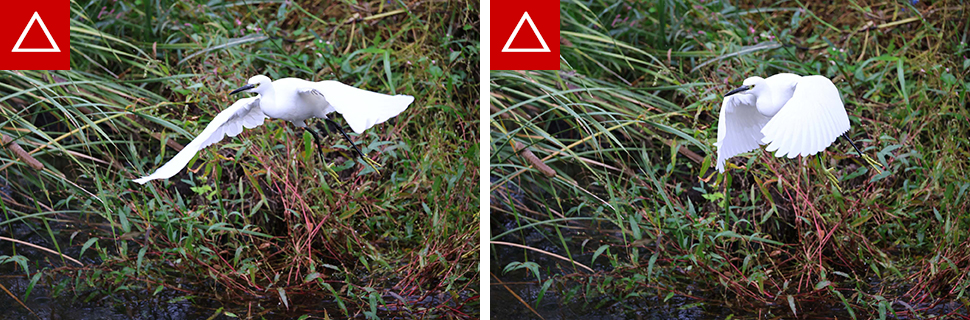 EOS R6 Mark III 実写チェック後編