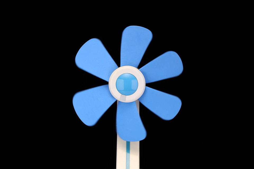 EOS R6 Mark III 実写チェック後編