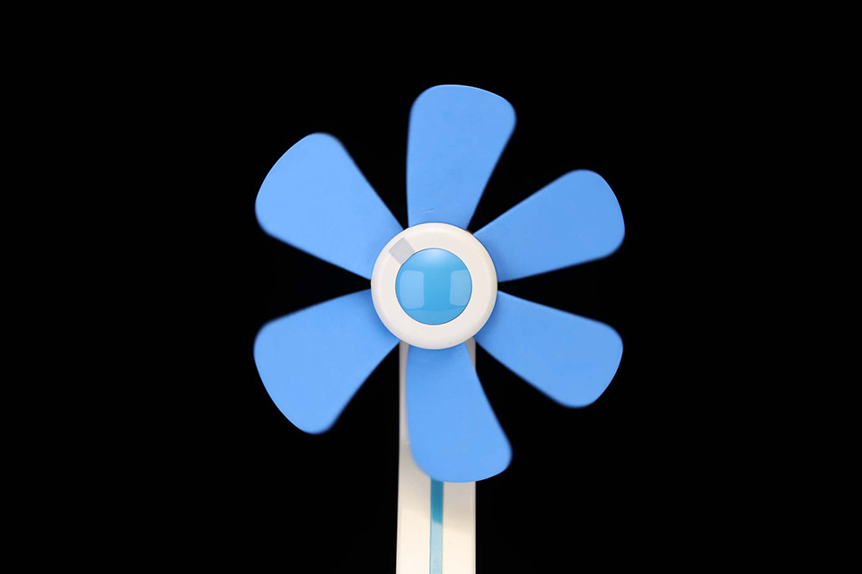 EOS R6 Mark III 実写チェック後編