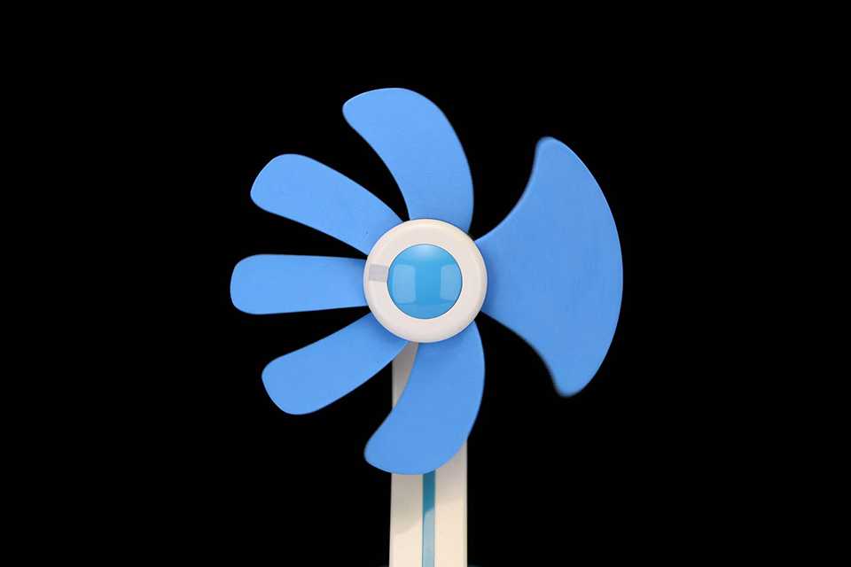 EOS R6 Mark III 実写チェック後編