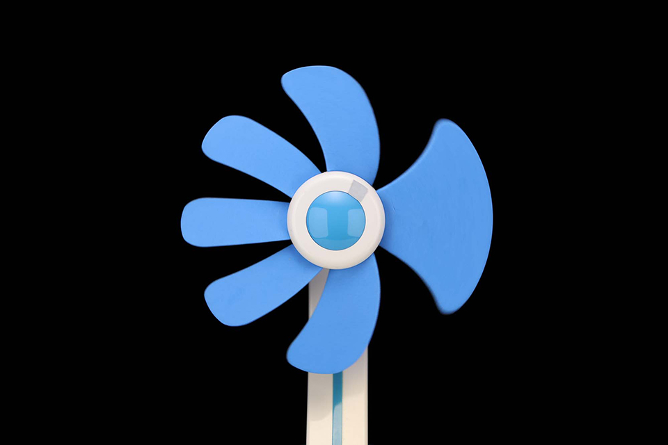 EOS R6 Mark III 実写チェック後編