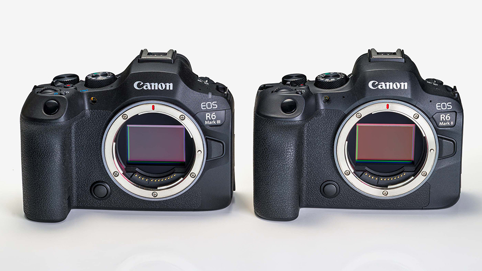 EOS R6 Mark III 実写チェック後編