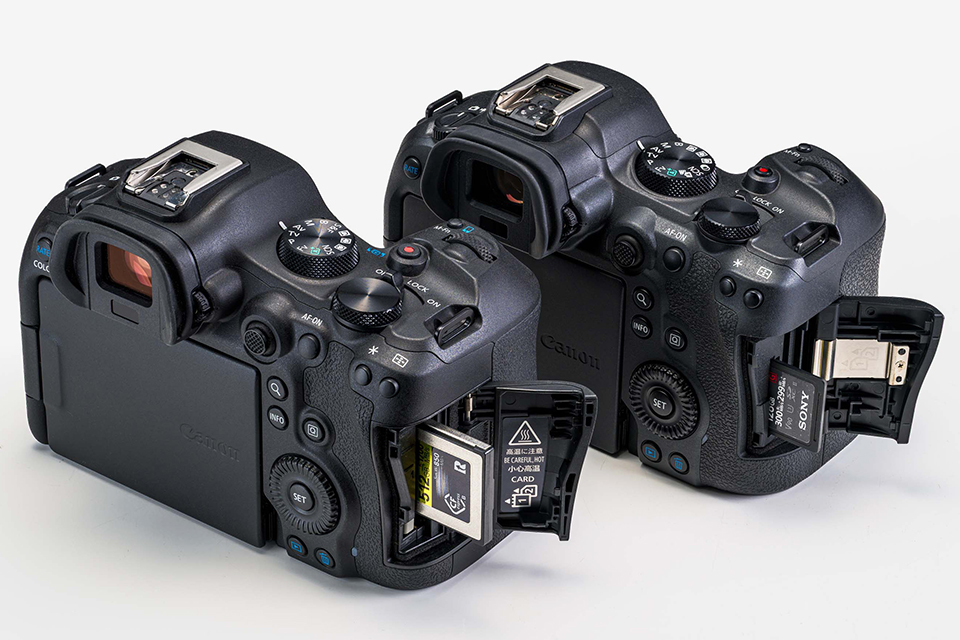 EOS R6 Mark III 実写チェック後編