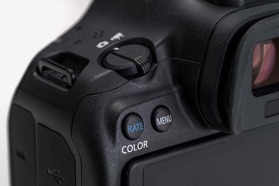 EOS R6 Mark III 実写チェック後編