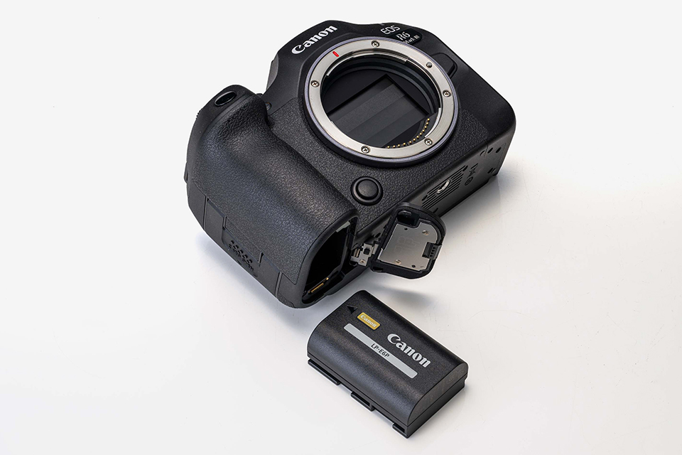 EOS R6 Mark III 実写チェック後編