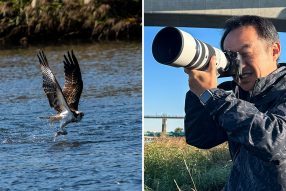 M.ZUIKO DIGITAL ED 50-200mm F2.8 IS PRO 実写レビュー