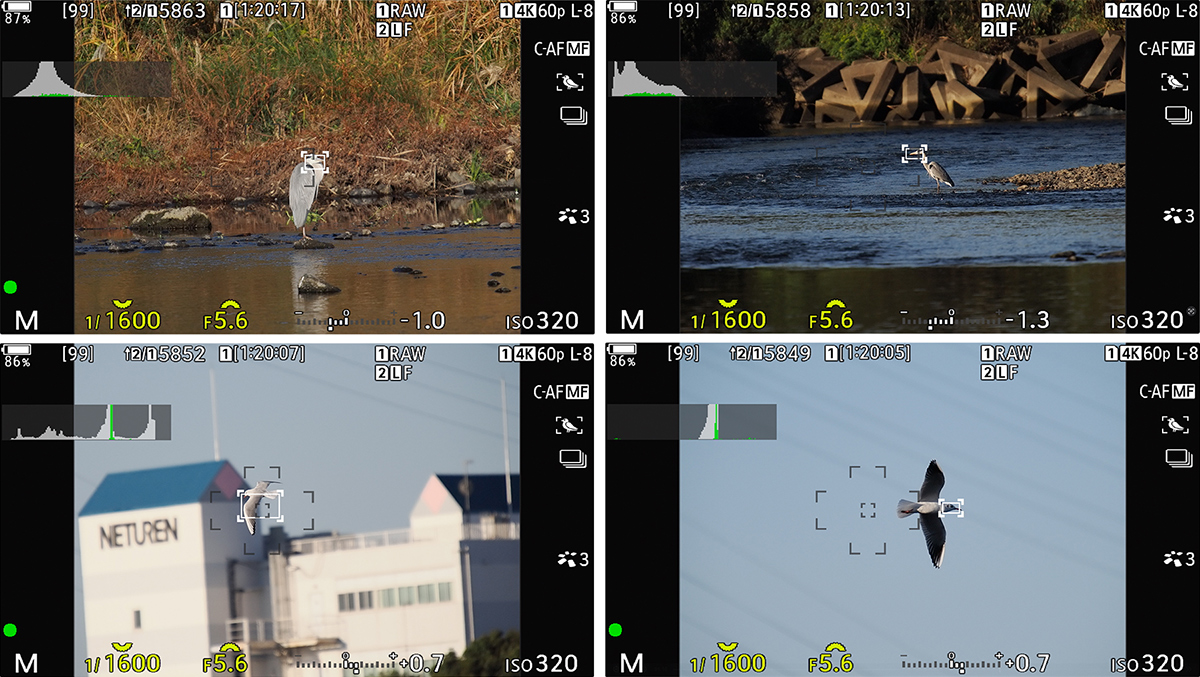 M.ZUIKO DIGITAL ED 50-200mm F2.8 IS PRO 実写レビュー