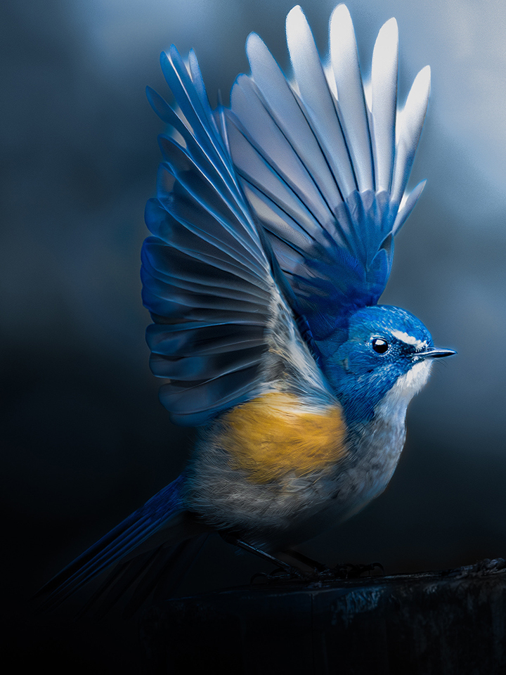 第73回ニッコールフォトコンテスト入賞作品展