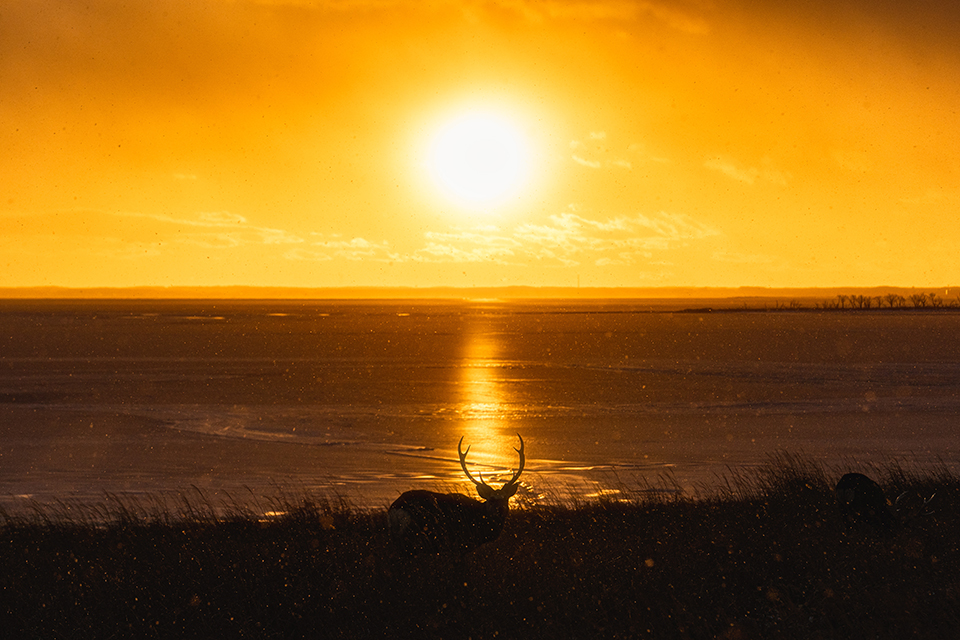 第1回「THE NEW CREATORS」井上翔太さんインタビュー