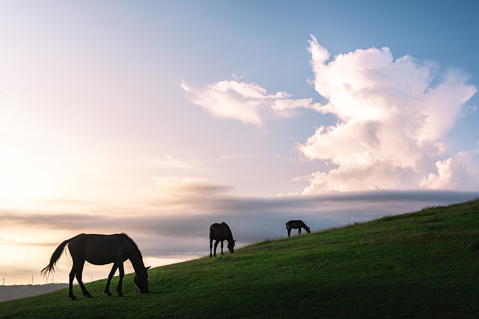 第1回「THE NEW CREATORS」井上翔太さんインタビュー