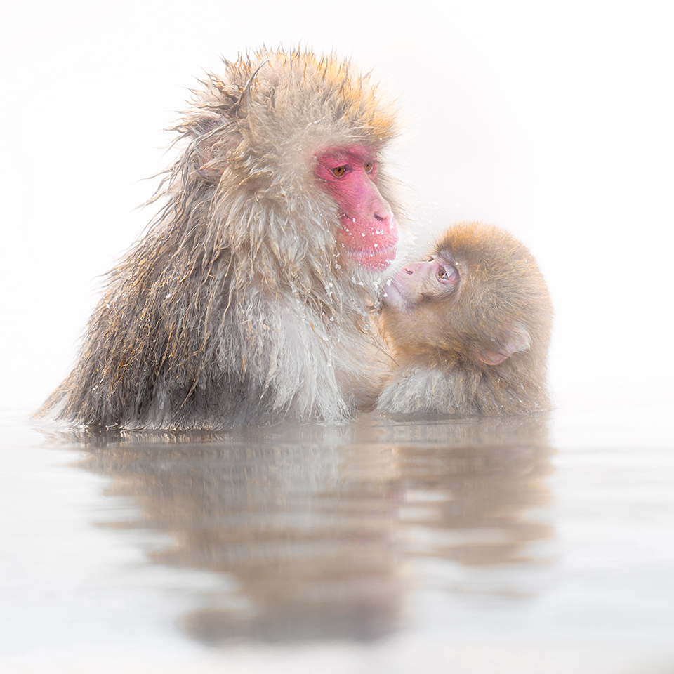 第1回「THE NEW CREATORS」井上翔太さんインタビュー