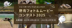 野鳥フォト＆ムービーコンテスト2025