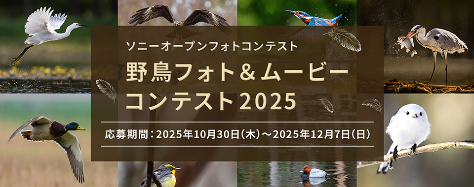 野鳥フォト＆ムービーコンテスト2025