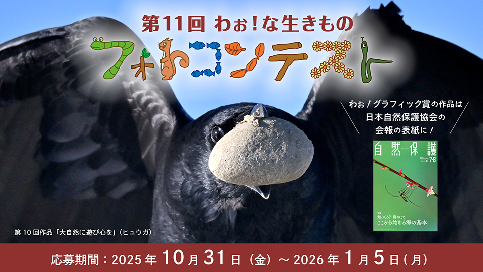第11回 わぉ！な生きものフォトコンテスト